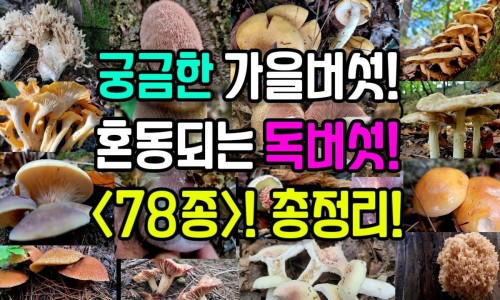 体脂肪率计算器在线-体重体脂率计算器在线、体脂肪计算公式 -体重脂肪计算器网