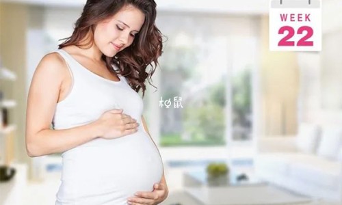 体重体脂率计算器在线、体脂肪计算公式 -体重脂肪计算器网